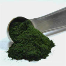High quality organic  chlorella  powder in bulk for human healthcare